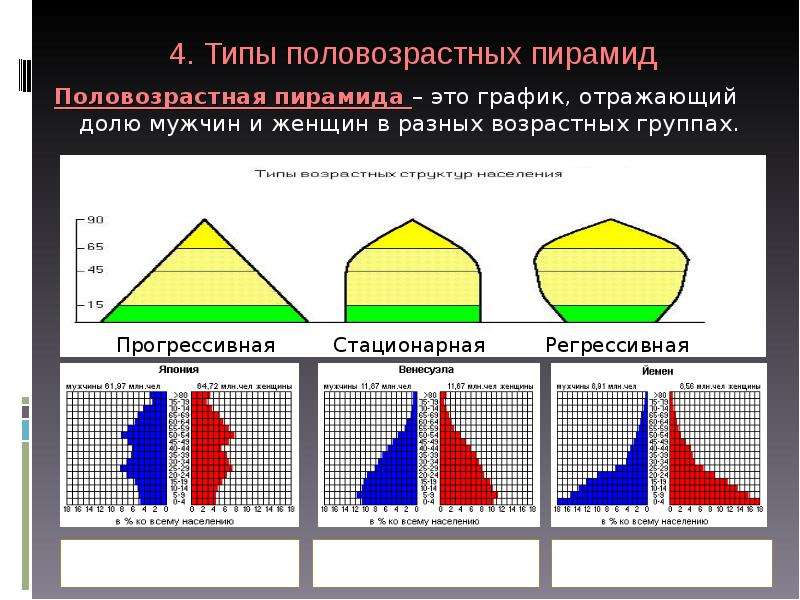 Половозрастная пирамида практическая работа 8 класс