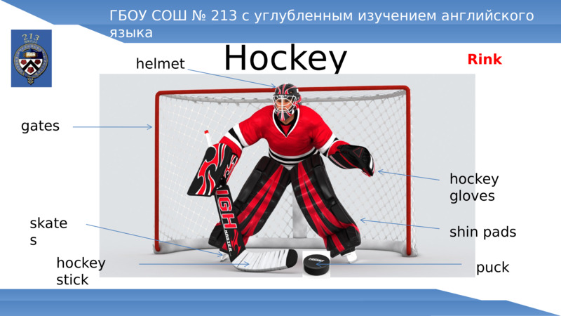 Hockey  ГБОУ СОШ № 213 с углубленным изучением английского языка  helmet  hockey gloves  shin pads  gates  hockey stick  Rink  puck  skates  