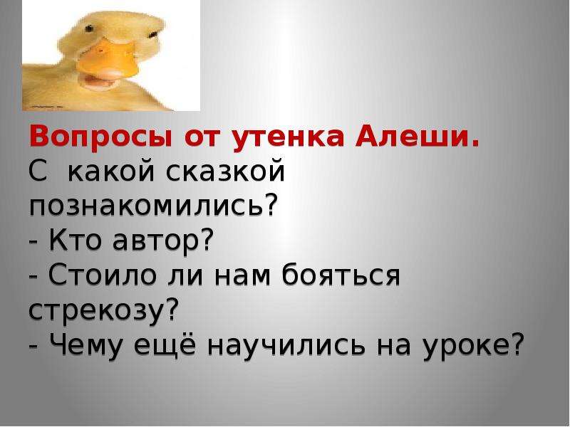 Храбрый утенок план 2