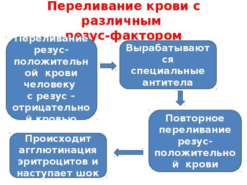 Презентация на тему иммунитет 8 класс биология