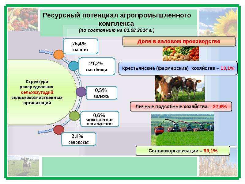 Агропромышленный комплекс россии проект