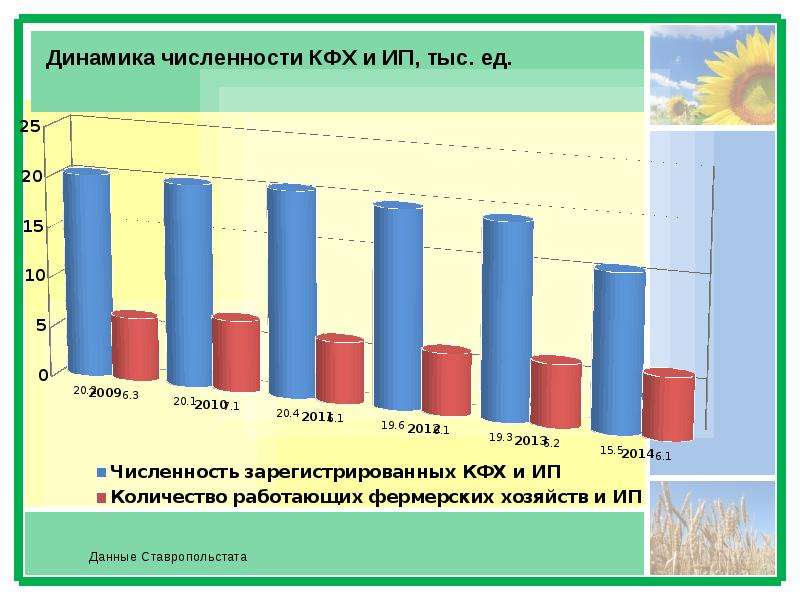 Число крестьянских фермерских хозяйств. Динамика численности фермерских хозяйств. Фермерское хозяйство статистика. Динамика количества КФХ. Динамика численности крестьянских фермерских хозяйств в РФ.