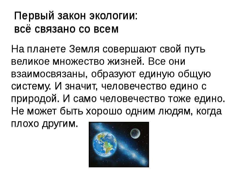 Все связано со всем экология. Первый закон «все связано со всем». Законы экологии. Первый закон экологии. Все законы экологии.