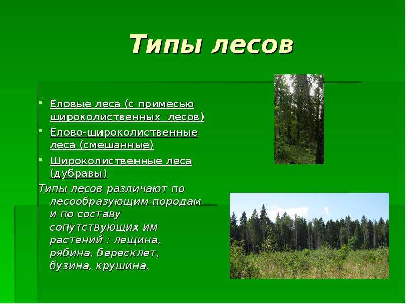 Типы лесов Еловые леса (с примесью широколиственных лесов) Елово-широколиственные леса (смешанные) Ш