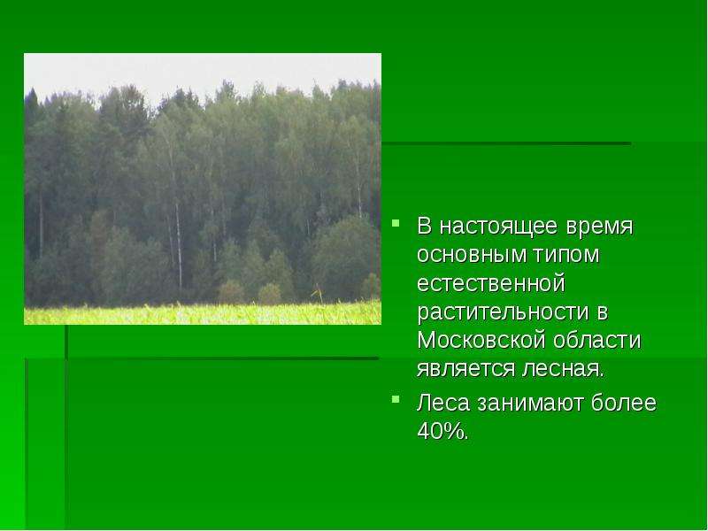 В настоящее время основным типом естественной растительности в Московской области является лесная. Л