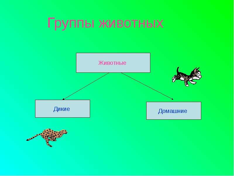 Животный мир урок 3 класс. Группы животных. Группы животных схема. Презентация группы животных. Группы животных 3 класс окружающий мир.