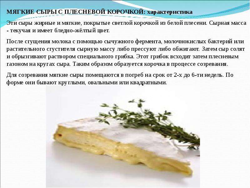 Какой твердый сыр не имеет корки и рисунка