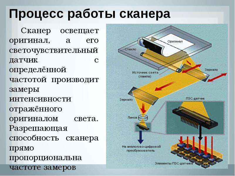 Классификация сканеров презентация