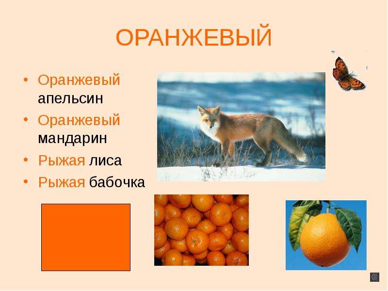 Рыжая лисица падеж. Оранжевый цвет для презентации. Оранжевый апельсин падеж. Песня рыженький апельсинчик я рыженький Мандаринчик.