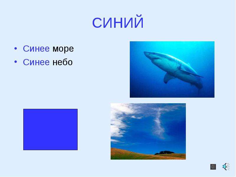 Bleu Ciel цвет. С синим небе синем море рыба. Дать характеристику море синее рисунок. Заяц энциклопедия небо синяголубое на английском языке.