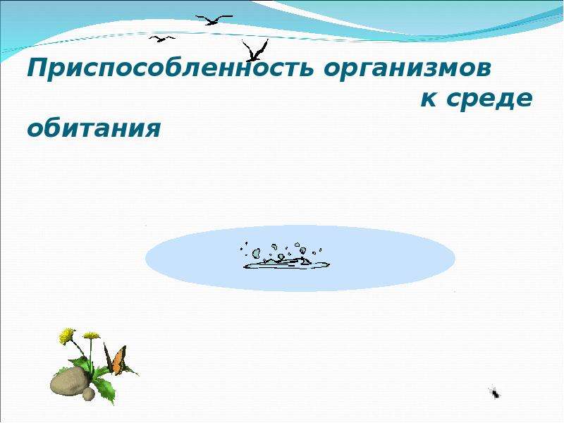 Презентация водная среда обитания организмов 5 класс. Среда обитания организмов презентация. Среды обитания организмов. Место обитания организмов. Репчатый лук приспособленность к среде обитания.