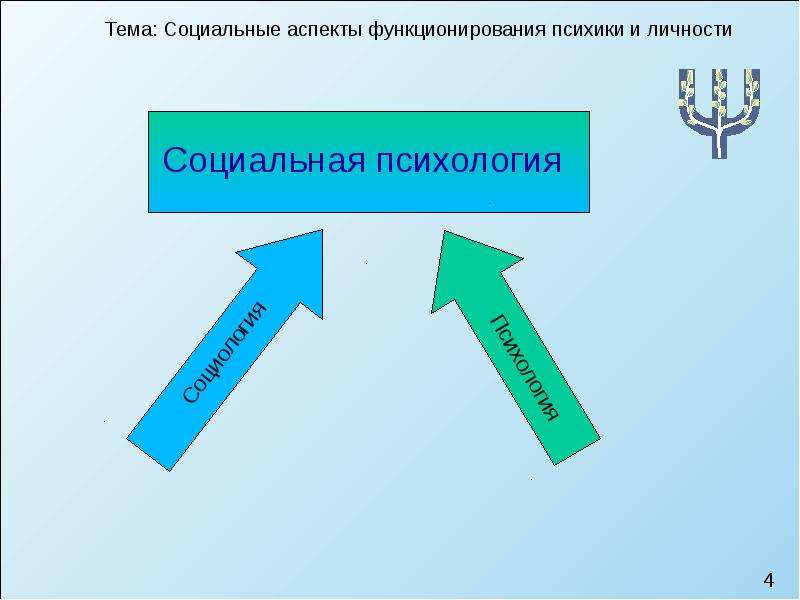 Общественный аспект. Социальный аспект личности. Аспекты личности в психологии. Аспекты социальной психологии. Социальные аспекты формирования личности.