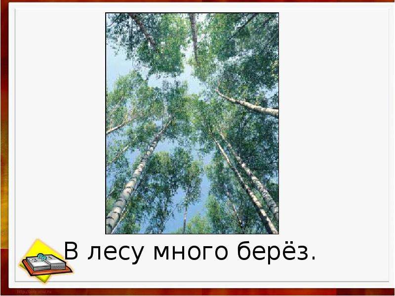 Диктант на опушке молодого леса есть пруд. Трещат Морозы в лесу тишина. Волшебная сказка много берёз.