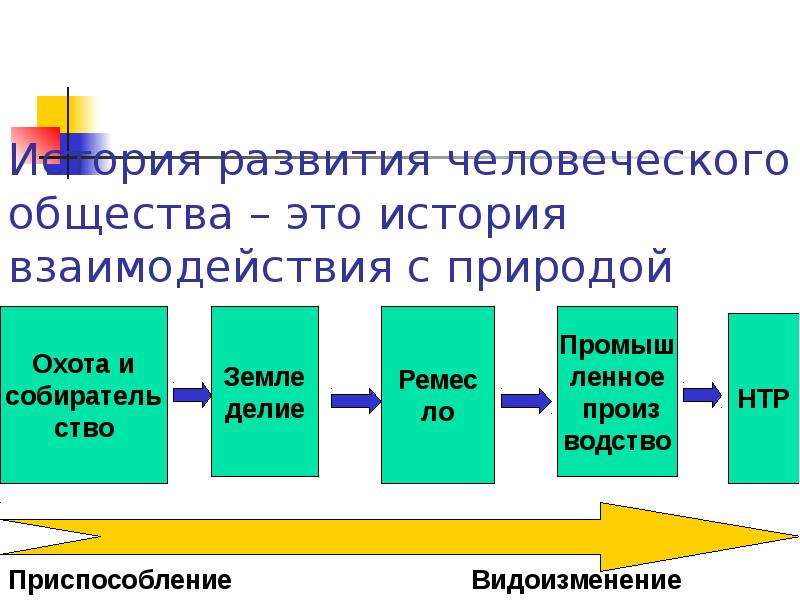 Природа компонент общества. Взаимодействие человеческого общества и природы. Исторические этапы взаимодействия общества и природы. Этапы взаимодействия с природой. История развития общества.