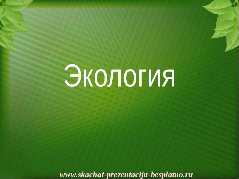 Экологическая презентация. Экология презентация. Презентация на тему экология. Слайды для презентации экология. Экологическая тема для презентации.