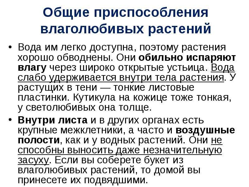 Приспособления растений к воде. Приспособление растений к влажности. Приспособления у влаголюбивых растений. Экологические группы водные влаголюбивые.