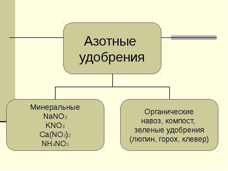 Азотные удобрения презентация по химии 9 класс