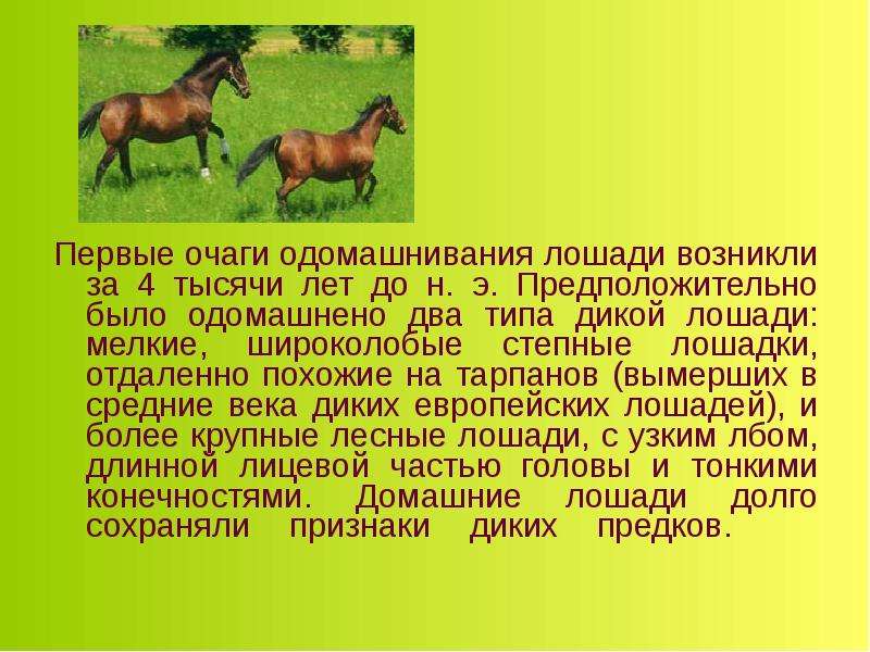 Презентация одомашнивание животных 10 класс