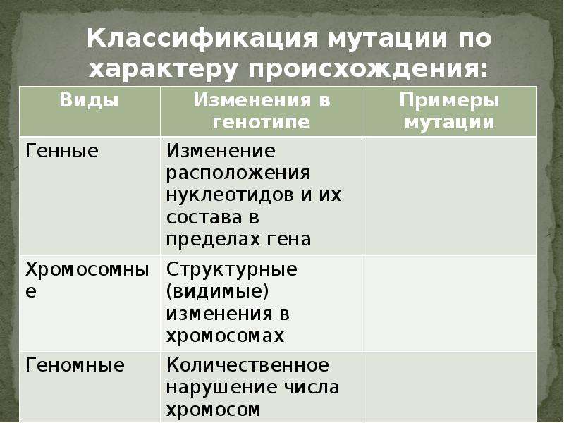 Виды мутаций презентация биология 10 класс