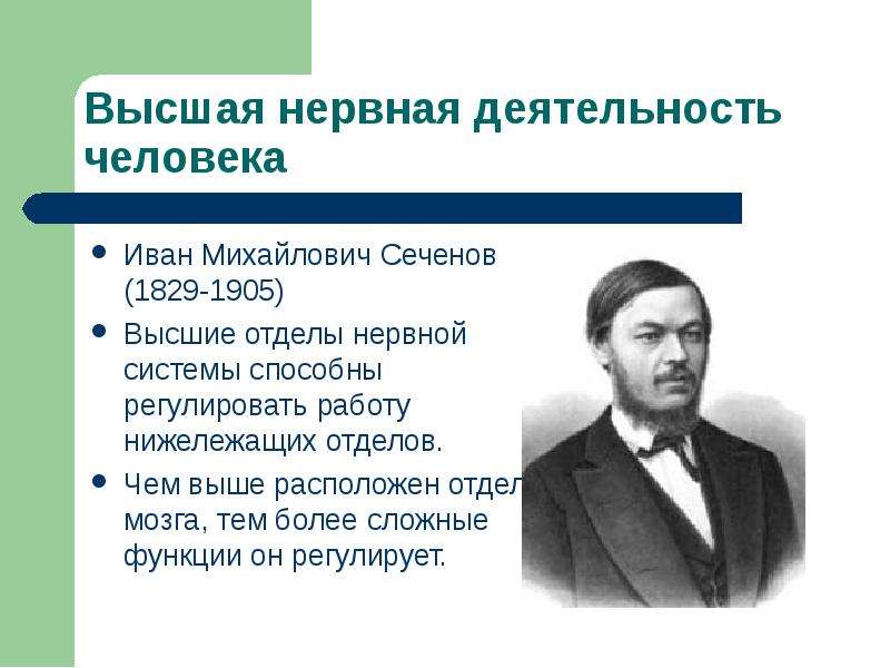 Учение о внд 8 класс презентация