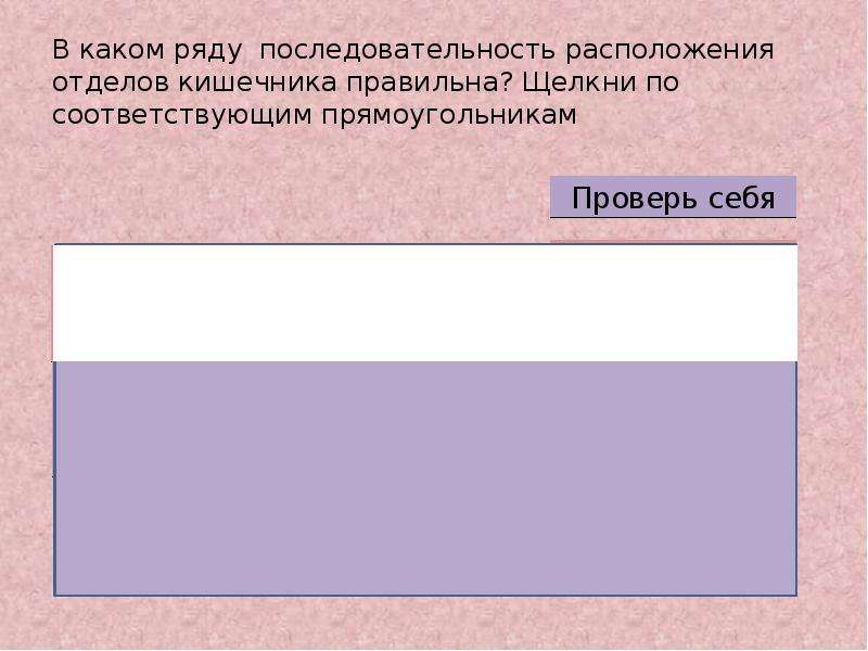 Последовательность расположения отделов. Укажите последовательность расположения отделов. Установите правильную последовательность в расположении отделов. 17. Выберите правильную последовательность расположения. Напишите правильную последовательность расположения зон.