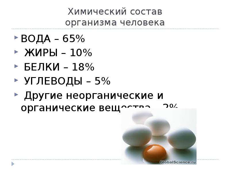 Химический состав человека. Содержание белков в организме. Содержание беловоа в организме. Химический состав организма человека. Химический состав белков жиров углеводов.