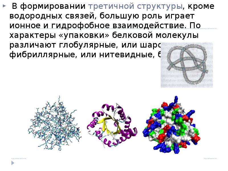 Глобулярные белки. Третичная структура белков фибриллярные и глобулярные белки. Третичная глобулярная структура белка. Фибриллярные белки третичная структура. Ионные связи в третичной структуре.