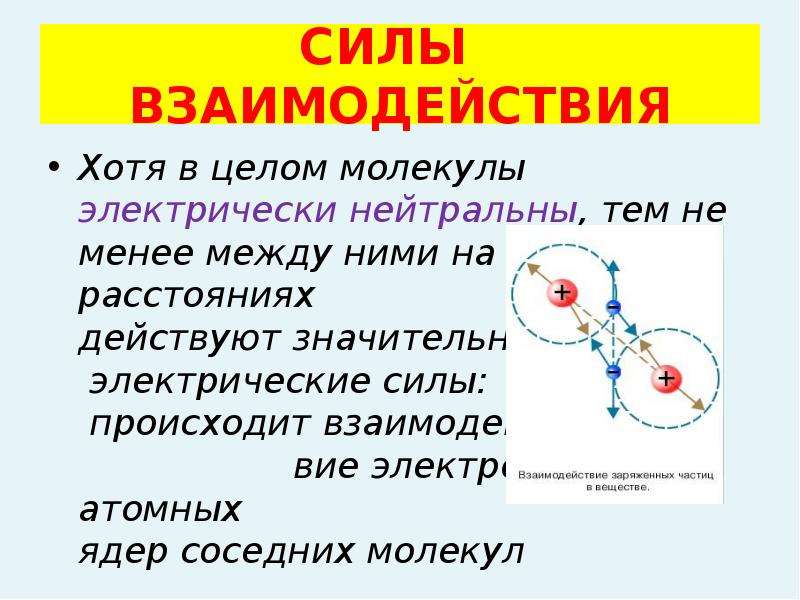 Броуновское движение 10 класс физика презентация