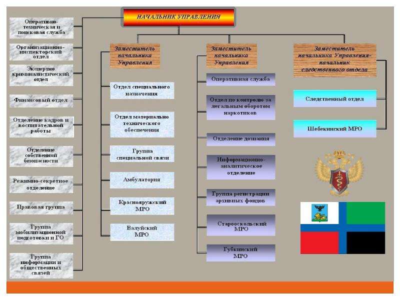 Структурную схему органов фсин россии