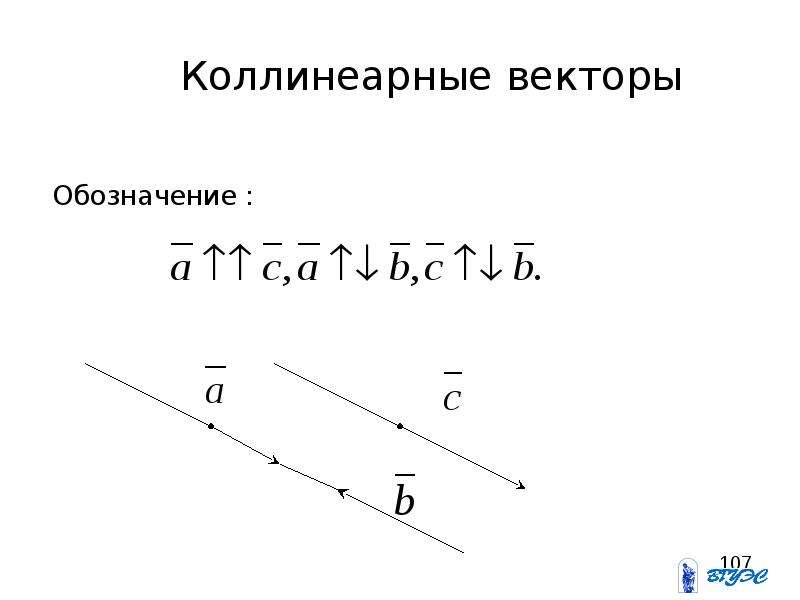 Как обозначается вектор. Как обозначаются коллинеарные векторы. Знак коллинеарности векторов. Символ коллинеарности векторов. Знзнак коллинеарности.