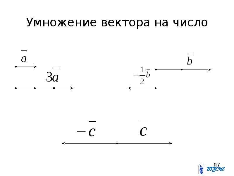 Умножение вектора на число рисунок