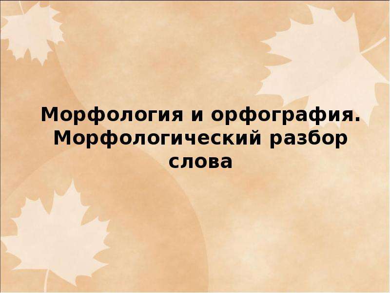 Морфология и орфография 6 класс презентация