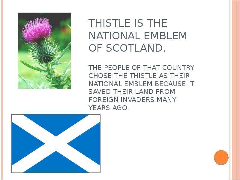 What is the symbol of scotland