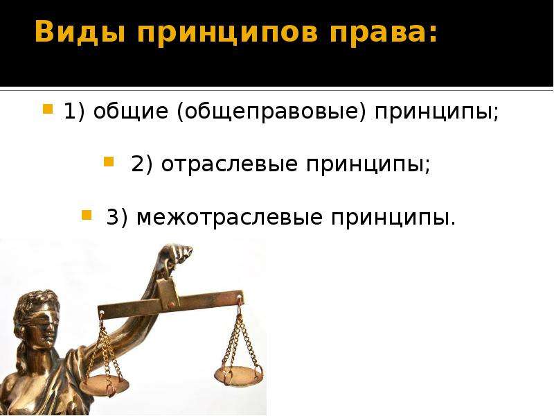 


Виды принципов права:

1) общие (общеправовые) принципы;
2) отраслевые принципы;
3) межотраслевые принципы.
