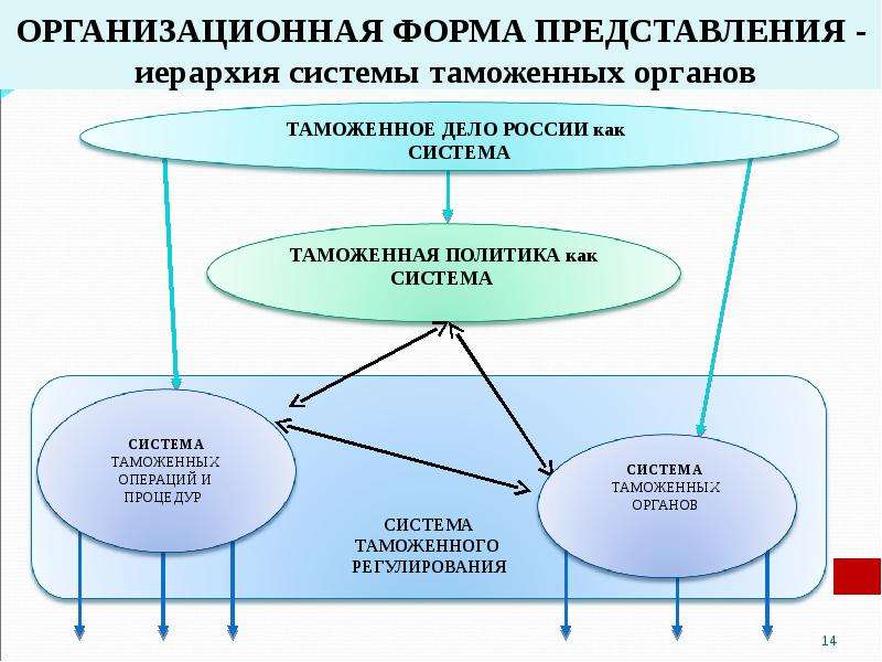 Виды представления систем. Структурно-организационное представление таможенной системы. Иерархия таможенных систем. Иерархическая структура таможенных органов. Система таможенного дела.