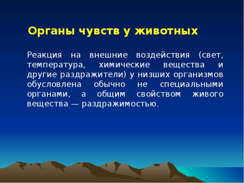 Реакция на внешние воздействия. Органы чувств животных. Органы чувств животных презентация. Органы чувств у большинства животных. Органы чувств животных 3 класс.