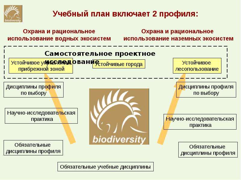 Обязательный профиль. Рациональное использование и охрана водных экосистем. Рациональное использование и охрана водных экосистем план. СПБГУ дисциплины по выбору. Биофак СПБГУ учебный план.