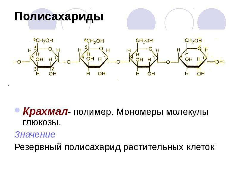 Образование молекул глюкозы. Крахмал полимер или мономер. Строение мономера полисахаридов. Крахмал полимер. Глюкоза полисахарид.