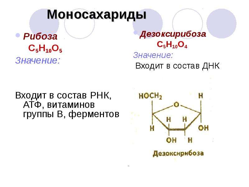 Определите схематическое строение какого вещества изображена на рисунке аденин рибоза