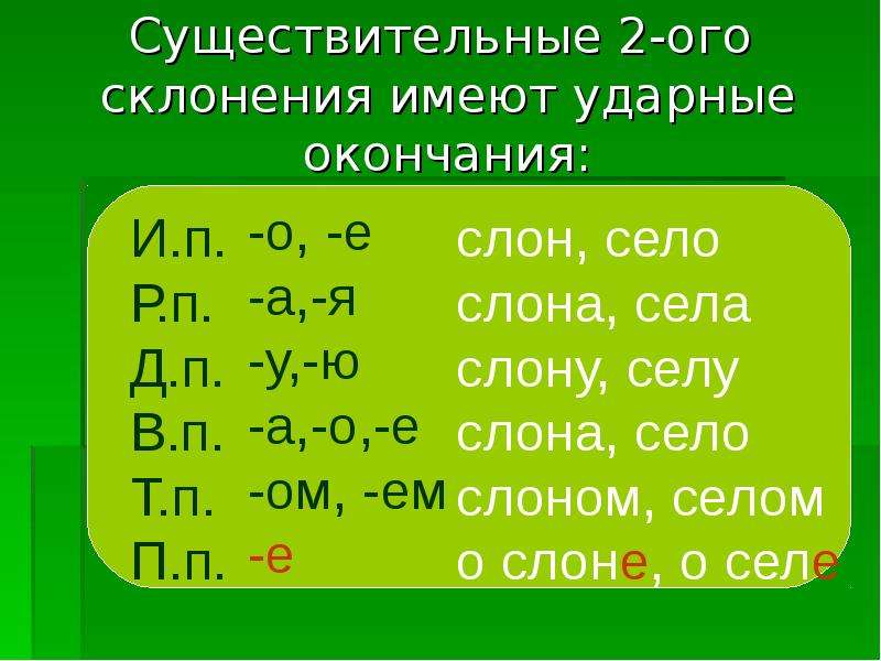 Существительные 2 и 3 склонения. Склонение. 2 Склонение существительных. Существительные 2ого склонения. Существительного второго склонения.