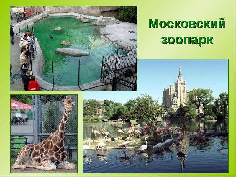 План рассказа о московском зоопарке