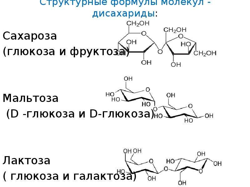 Фосфоролиз мальтозы схема