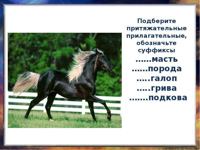 Рассмотрите фотографию коричневой лошади с черными ногами гривой и хвостом выберите характеристики