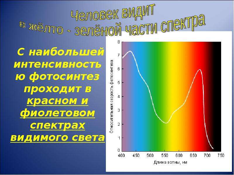 Длина волны фиолетового спектра