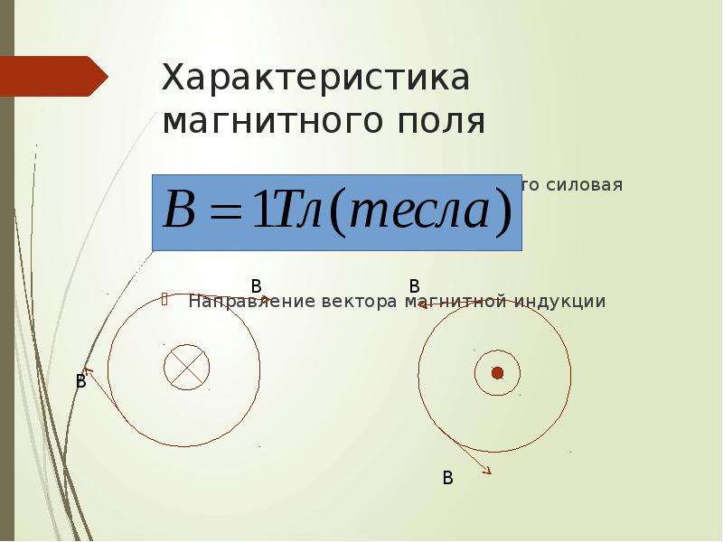 Силовая характеристика магнитного поля в данной точке. Силовая характеристика магнитного поля. Направление силовой характеристикой магнитного поля. Силовая характеристика магнитного. Модуль вектора магнитной индукции сила Ампера 11 класс.