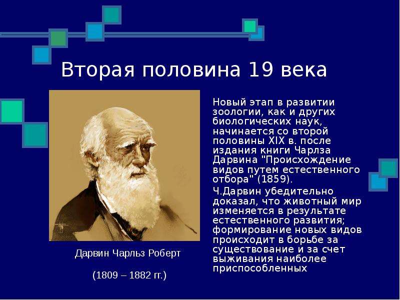 Презентация по зоологии 7 класс