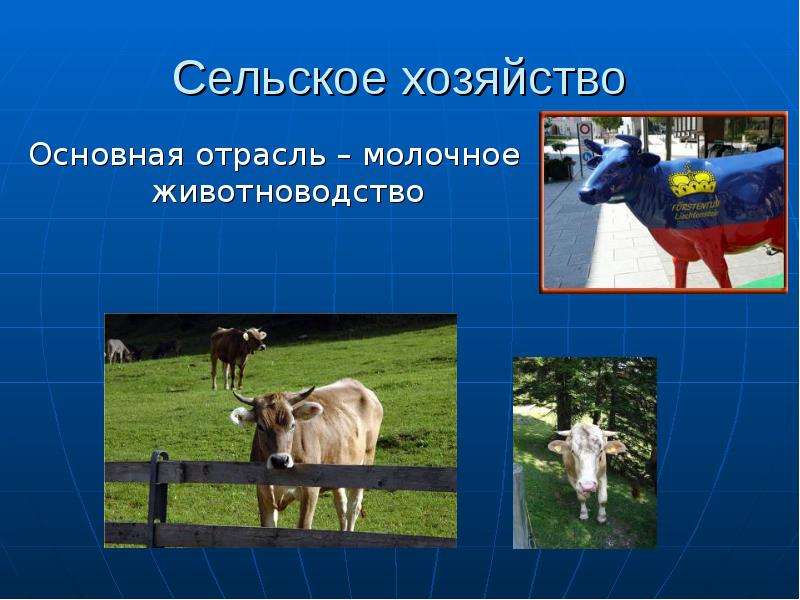 Основное хозяйство. Молочная отрасль экономики. Способы вести хозяйство. Каким способом ведут хозяйства.