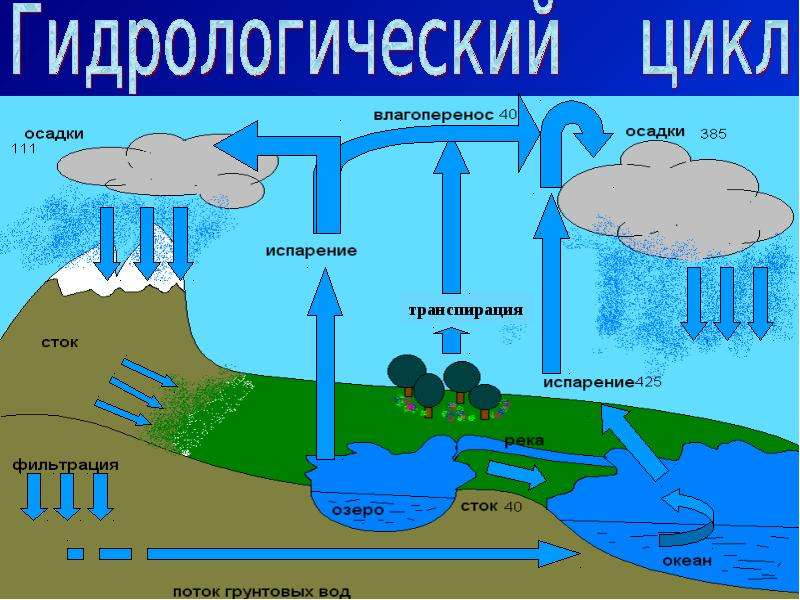 Презентации по гидрологии