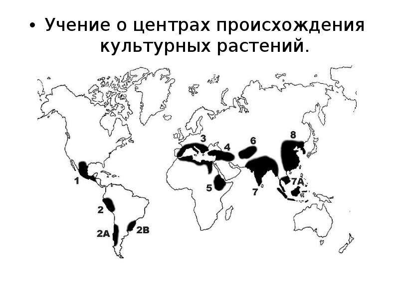 Составьте схему происхождения культурных растений наиболее распространенных в вашей местности