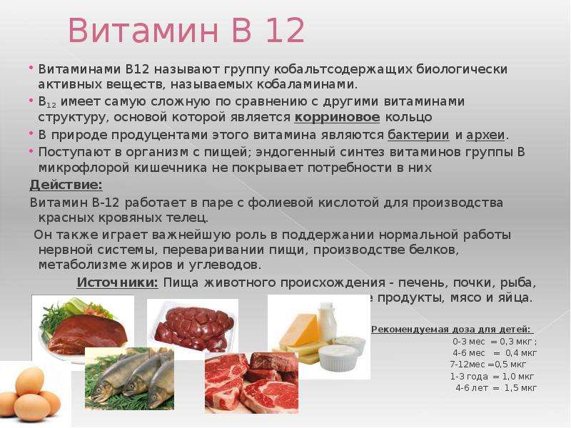 Vitamina b12 verduras